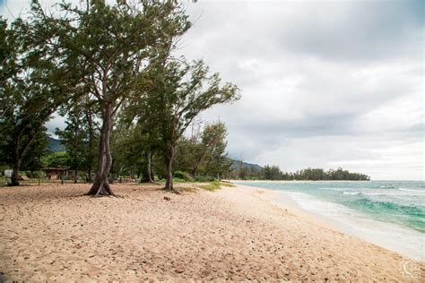 nude beach in oahu|POLO BEACH